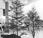 上海当代艺术展意大利投资方连续5届亏损