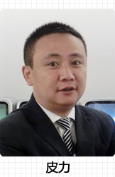 皮力
