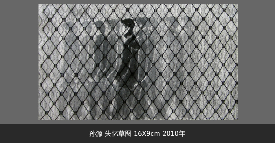 孙源 失忆草图 16X9cm 2010年