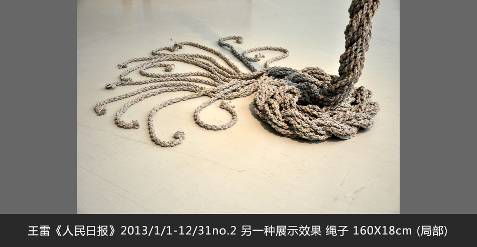 王雷《人民日报》2013/1/1-12/31no.2 另一种展示效果 绳子 160X18cm (局部)