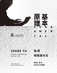 基本原理—张羽视觉进化论