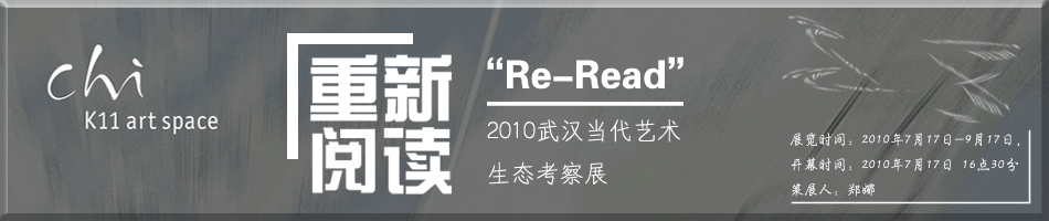 重新阅读”2010武汉当代艺术生态考察展