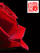 一周论坛热帖