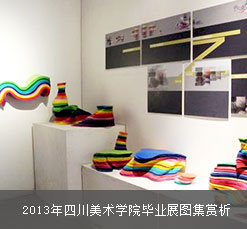 2013年四川美术学院毕业展图集赏析